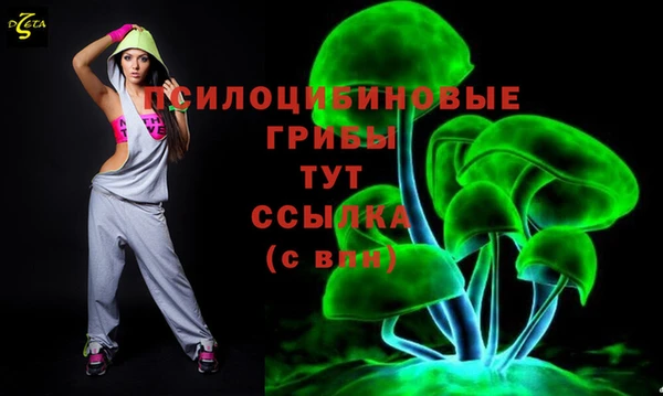 бошки Гусь-Хрустальный