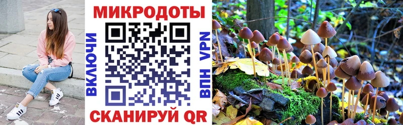 Купить закладки  Исилькуль  Псилоцибиновые грибы Magic Shrooms 