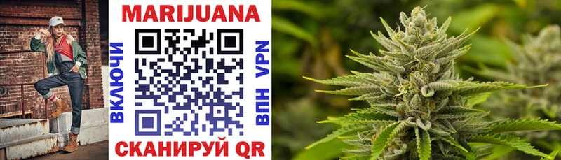 Купить где  Исилькуль  Конопля SATIVA & INDICA 